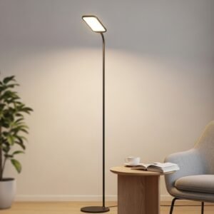 Indoor LED Floor Lamp