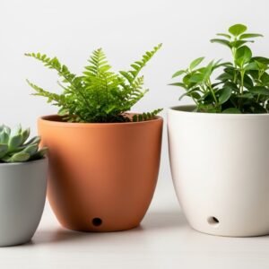 Ceramic Plant Pots Set